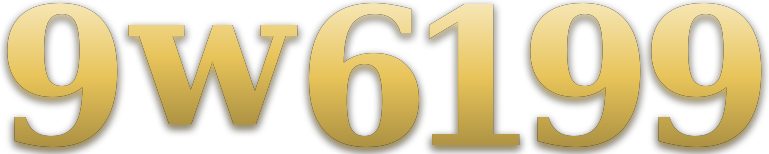 9w6199 logo